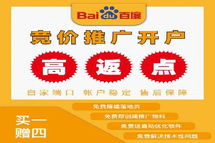 百度推广代运营案例：行业领先企业的成功之道